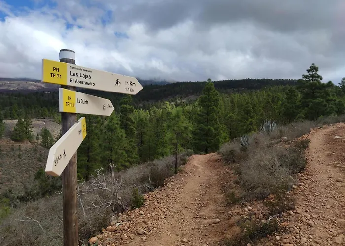 Apartament Casas Javier *