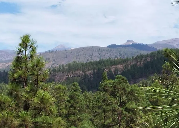 Casas Javier Apartman Costa Adeje (Tenerife)